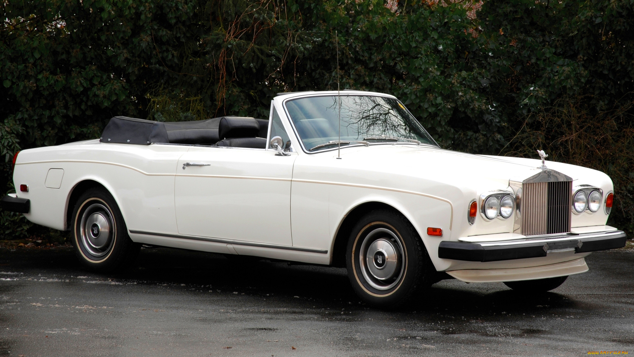 rolls, royce, corniche, , -, , rolls-royce, motor, cars, ltd